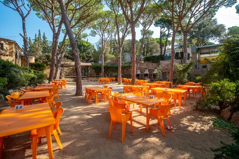 Camping Kings foto 8