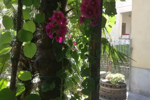 Hotel Gentile in Agerola, foto 9