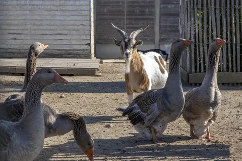 Camping Le Domaine Du Clarys foto 30