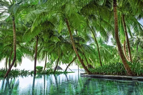 One & Only Reethi Rah in Maldives — foto 9