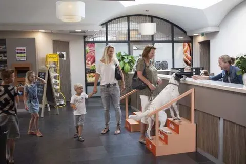 Hotel De Boshoek in Voorthuizen — foto 41