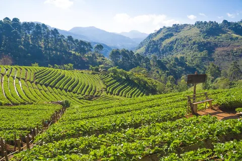 16-daagse rondreis Highlights van Costa Rica in Quesada — foto 5