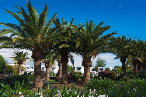 Hotel Relaxia Olivina foto 11