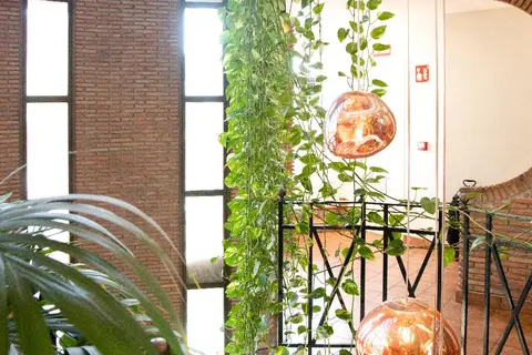 Hotel Boutique Calas de Alicante in Alicante — foto 9