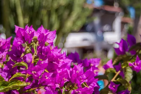 Hotel & Residence Cormoran in Villasimius — foto 12