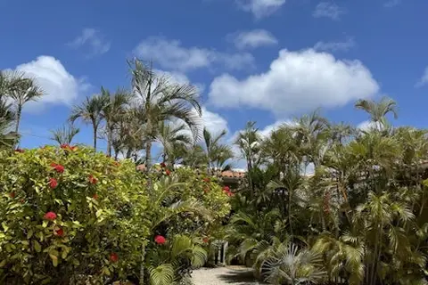 Bonaire Fun Apartments in Kralendijk — foto 4