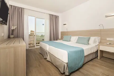 Globales Mimosa in Calvià — foto 4