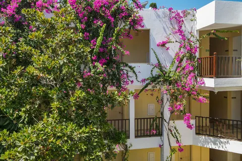 Natur Garden Hotel foto 14