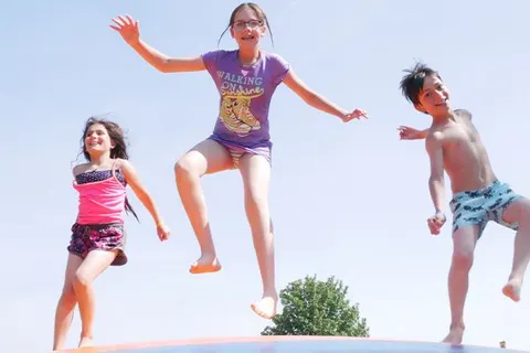 Camping Betuwe foto 13