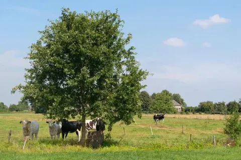 Havezathe Carpe Diem foto 18