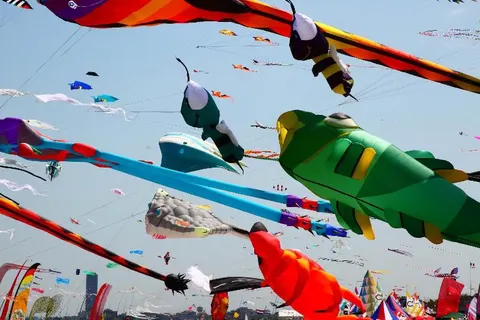 Camping Adriatico foto 20