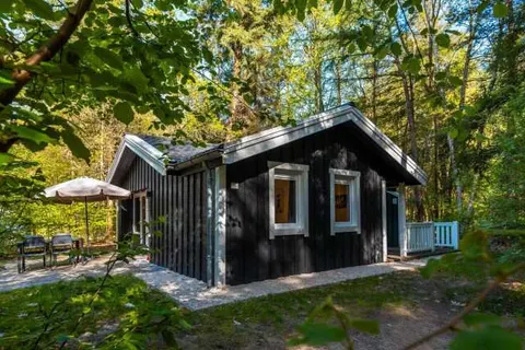 Vakantiepark De Wiltzangh in Ruinen — foto 2