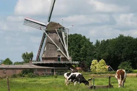 Landgoedhotel Woodbrooke foto 32