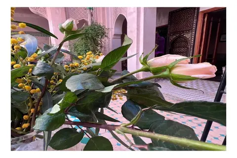 Palais Parad'Or in Marrakech — foto 3