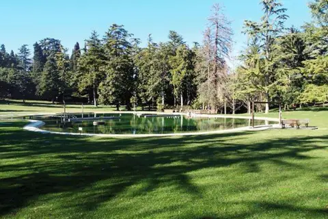 Villa dei Cedri S.P.A. in Colà di Lazise, foto 20