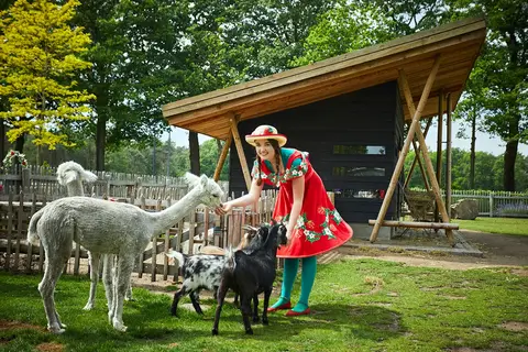 Camping TerSpegelt in Eersel — foto 19