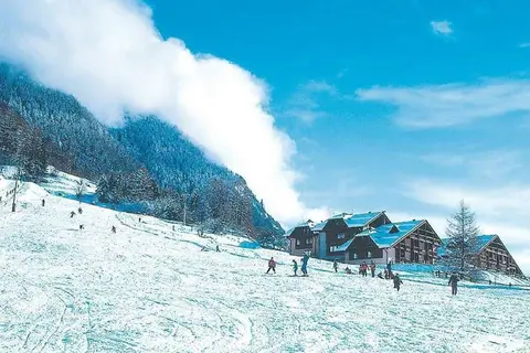 Parco Dello Stelvio in Cogolo — foto 4