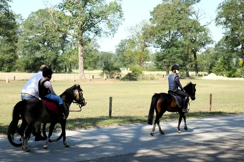Camping Dal Van De Mosbeek foto 5