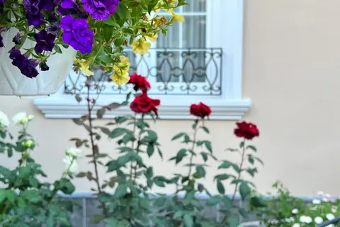 Hotel Treva in Shkodra, foto 20