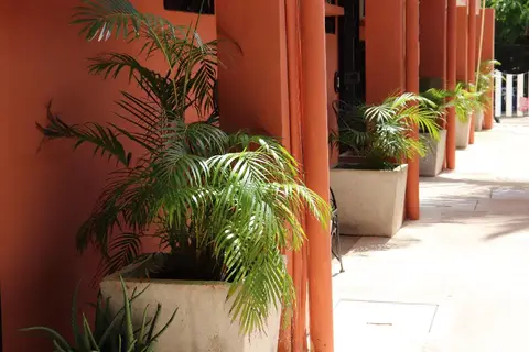 Andreas Tulum Hotel in Cancún — foto 6