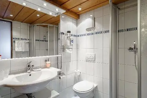 Hotel Alpenblick in Wilderswil, foto 8
