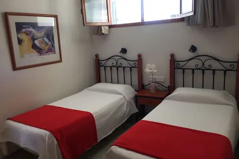 Amazonas in San Bartolomé de Tirajana — foto 10
