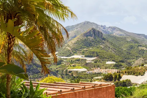 Finca el Tossal in Bolulla — foto 15