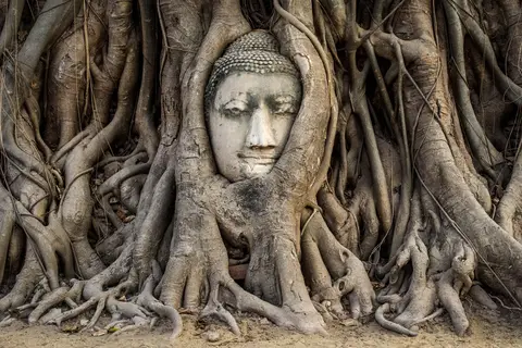 Thailand Compleet in Compleet Thailand — foto 8