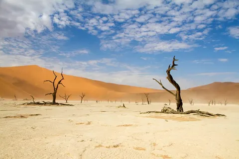 14 daagse reis Ontdek Namibië excl vlucht foto 3