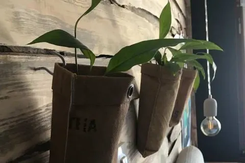 Kräuter Chalet foto 9