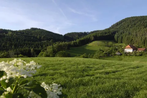 Best Western Schwarzwaldresidenz foto 3