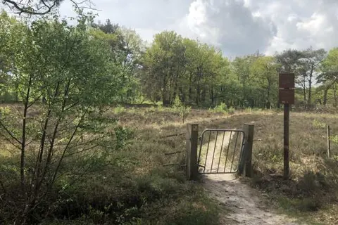 Hotel Onder de Linden foto 14