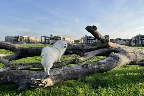 Vakantiepark Tusken De Marren foto 21