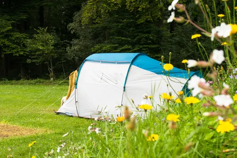 Camping La Colline foto 7