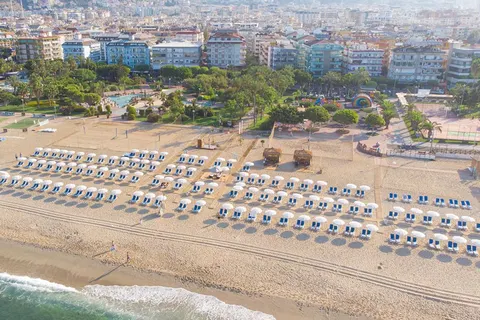 Sunflower in Alanya/Antalya — foto 39