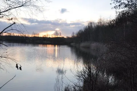 Hotel &ampapos;t Paviljoen foto 29