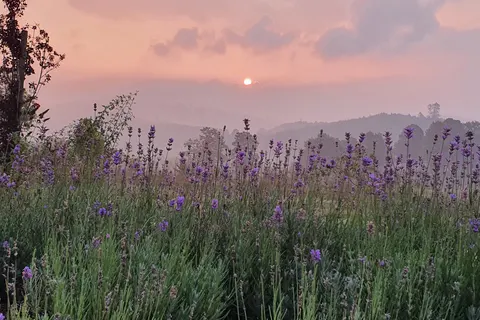 Camping Brilon foto 16