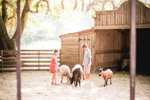 Camping Les Prairies De La Mer foto 29