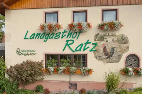 Hotel Landgasthof Ratz in Rheinau — foto 10
