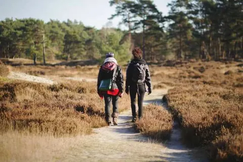 Appartementen De Bosrand foto 17