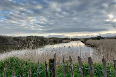 Camping Beachside foto 4