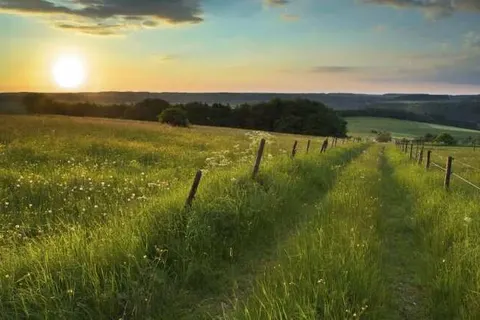 Landhaus Schend foto 16