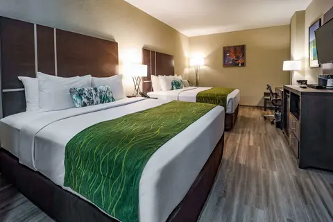 Comfort Inn & Suites in Scarborough — foto 19