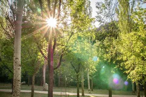 Camping Puente De Las Herrerías foto 19