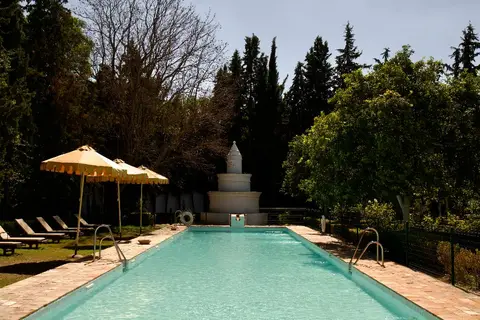 Monasterio de San Francisco in Palma Del Rio — foto 11