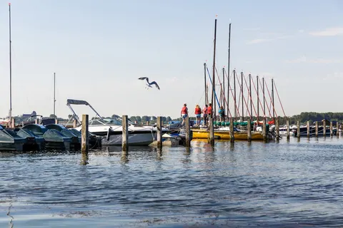 Camping Rcn De Schotsman foto 20