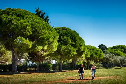 Maistra Camping Amarin Mobile Homes in Rovinj — foto 24