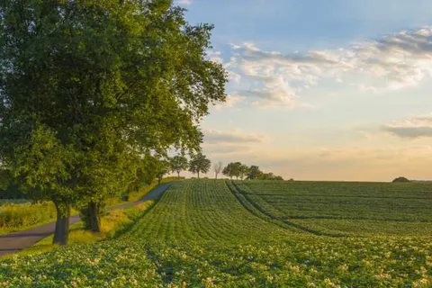 Hotel de Korenwolf foto 23