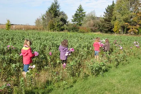 Camping Ferme Pédagogique De Prunay foto 22