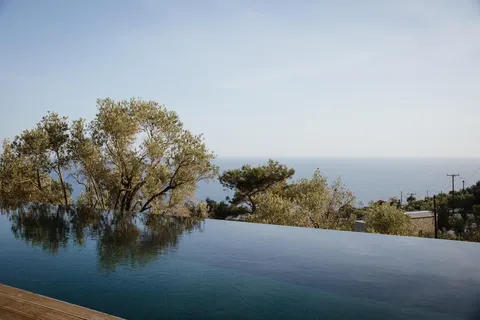 Five Olive Dream Trip in Plomari — foto 3